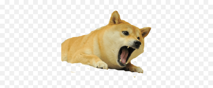 Png Collection Of Free Transparent Doge - Transparent Background Angry Doge Png,Doge Png