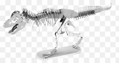 Metal Earth Tyrannosaurus Rex Sekelton - Metal Earth T Rex Png,Tyrannosaurus Png