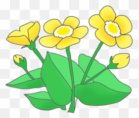 4570book Hd Ultra Blue Bell Flower Clipart Png Pack 5168 - Buttercup Flowers Cartoon Transparent,Flowers Clipart Png