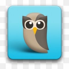 Hootsuite For Twitter - Icon png