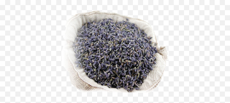 Dried Lavender Grains - Does Dried Lavender Buds Look Like Png,Grains Png