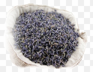 Dried Lavender Grains - Does Dried Lavender Buds Look Like Png,Grains Png