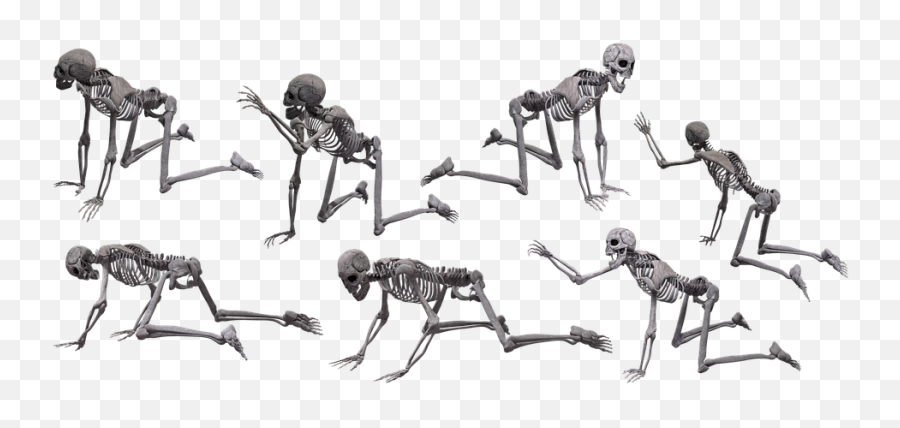 Spooky Skeleton Png - Skeleton Skull Halloween Human Creepy,Spooky Skeleton Transparent