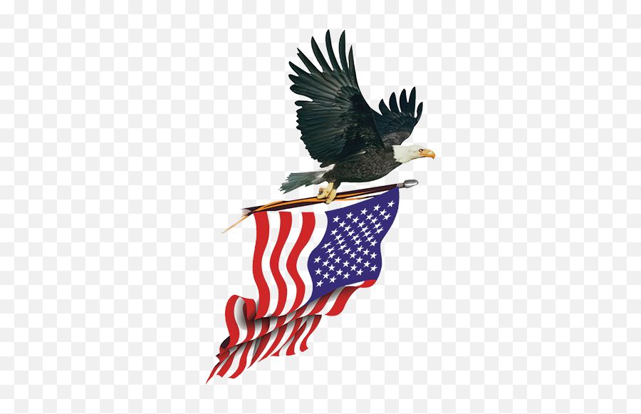 Eagle American Flag Png Transparent - Bald Eagle American Flag Png,American Flag Eagle Png