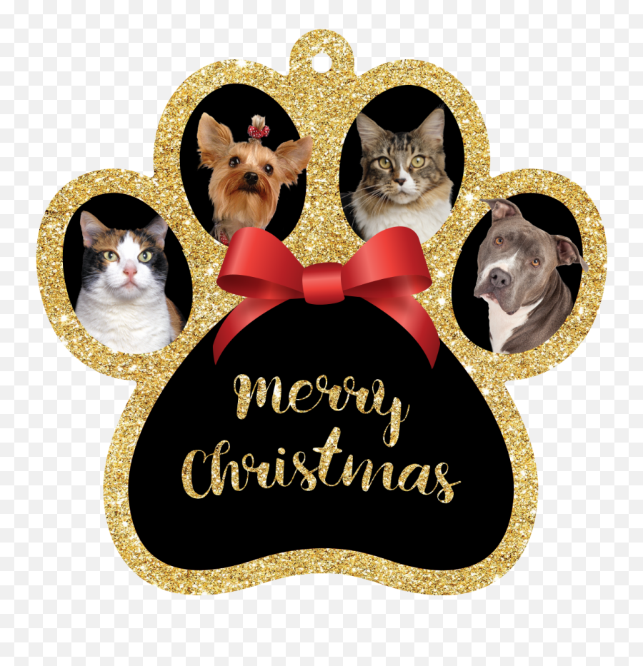 Merry Christmas - Pets At Home Png,Merry Christmas Gold Png