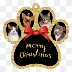 Merry Christmas - Pets At Home png