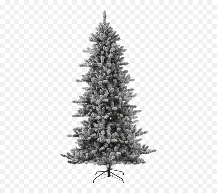 Glitzhome 7 - Boreal Conifer Png,Christmas Tree Branch Png