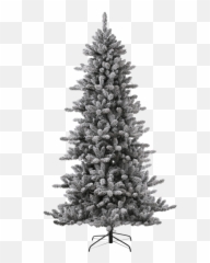 Glitzhome 7 - Boreal Conifer png