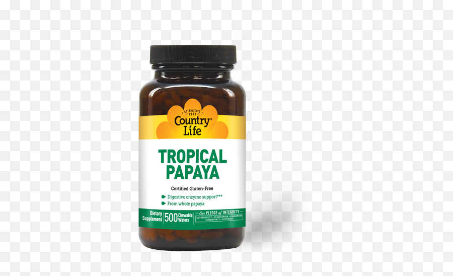 Tropical Papaya - Medical Supply Png,Papaya Icon
