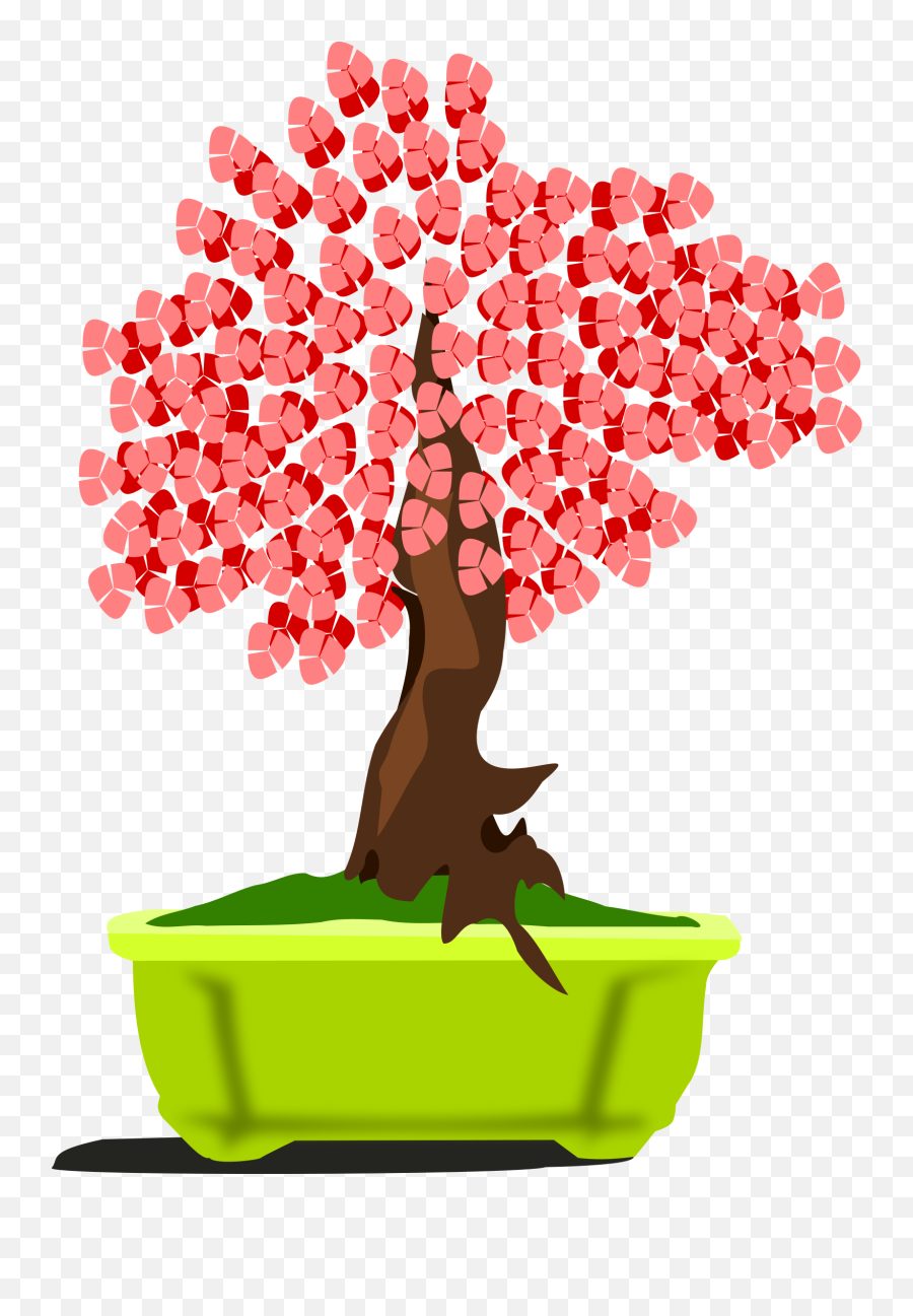 Bonsai Tree Png - This Free Icons Png Design Of Bonsai13 Bonsai,Bonsai Tree Png