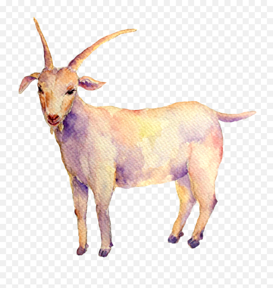 Capricorn Icon Transparent Free Png Play - Goat Capricorn,Transparent Goat Icon