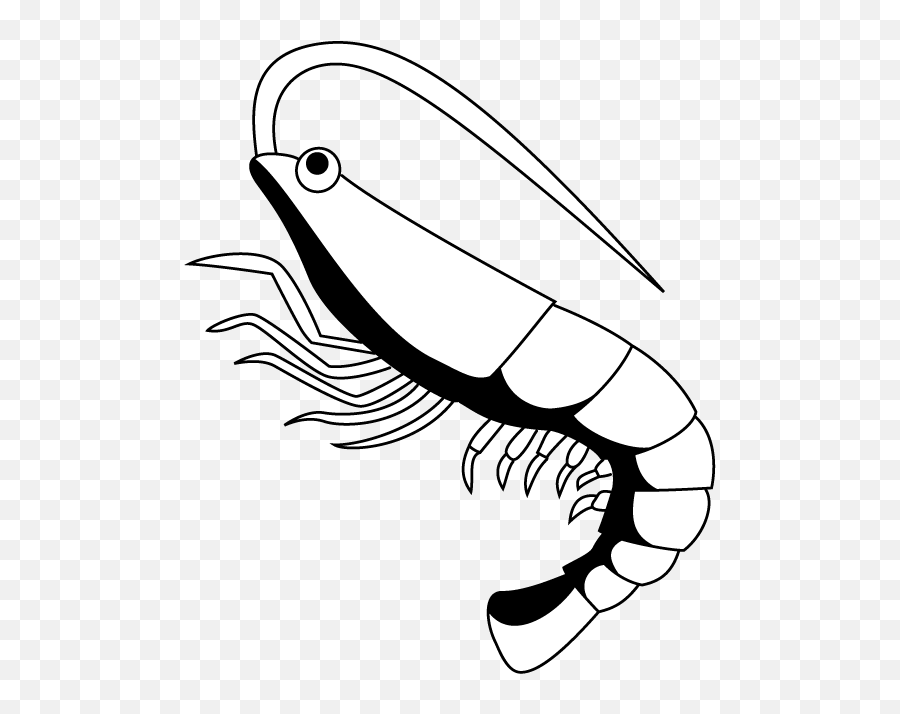 Free Shrimp Clipart Black And White Download - Shrimp Black And White Png,Shrimp Icon Png