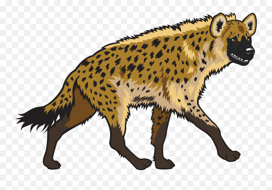 Free Png Animal - Konfest,Hyena Png