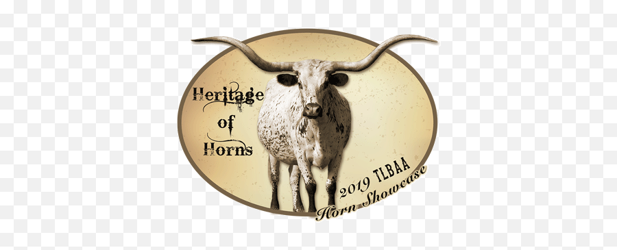 2019 Horn Showcase - Texas Longhorn Png,Longhorn Png