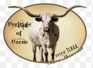 2019 Horn Showcase - Texas Longhorn Png,Longhorn Png