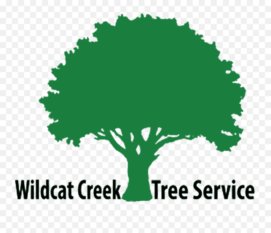 Tree Service Company - Lafayette Indiana Wildcat Creek Silhouette Maple Tree Clipart Png,Tree Removal Icon