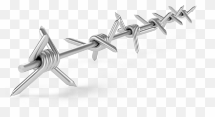 Download Barbwire Png - Thorn Wire Png,Barbwire Png