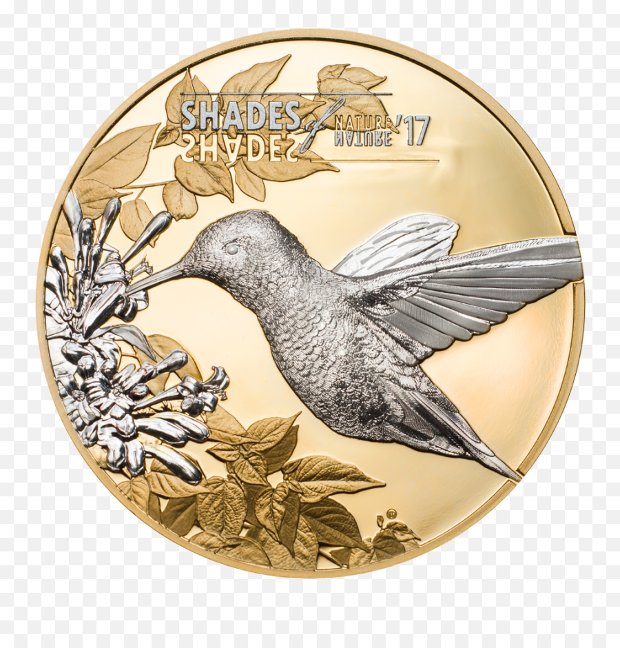 Hummingbird U2013 Cit Coin Invest Ag - Hummingbird Silver Coin Png,Hummingbird Transparent