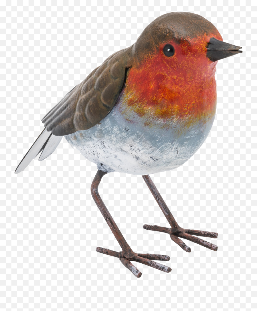 Robin Png Free Download