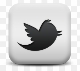 Anthony Martin Advisory - Logo In Twitter Transparent png