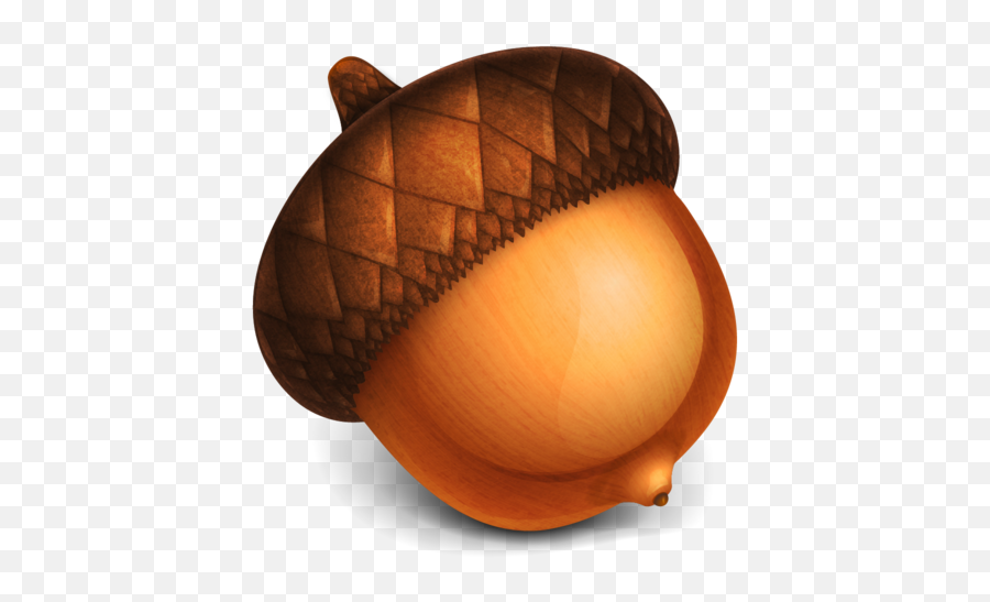 Acorn Png Transparent - Acorn Png,Acorn Transparent Background