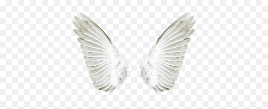 White Angel Wings Png Download - White Wings Png Hd,White Angel Wings Png