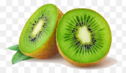 Kiwi Png Transparent Images 18 - Kiwi Png,Kiwi Transparent