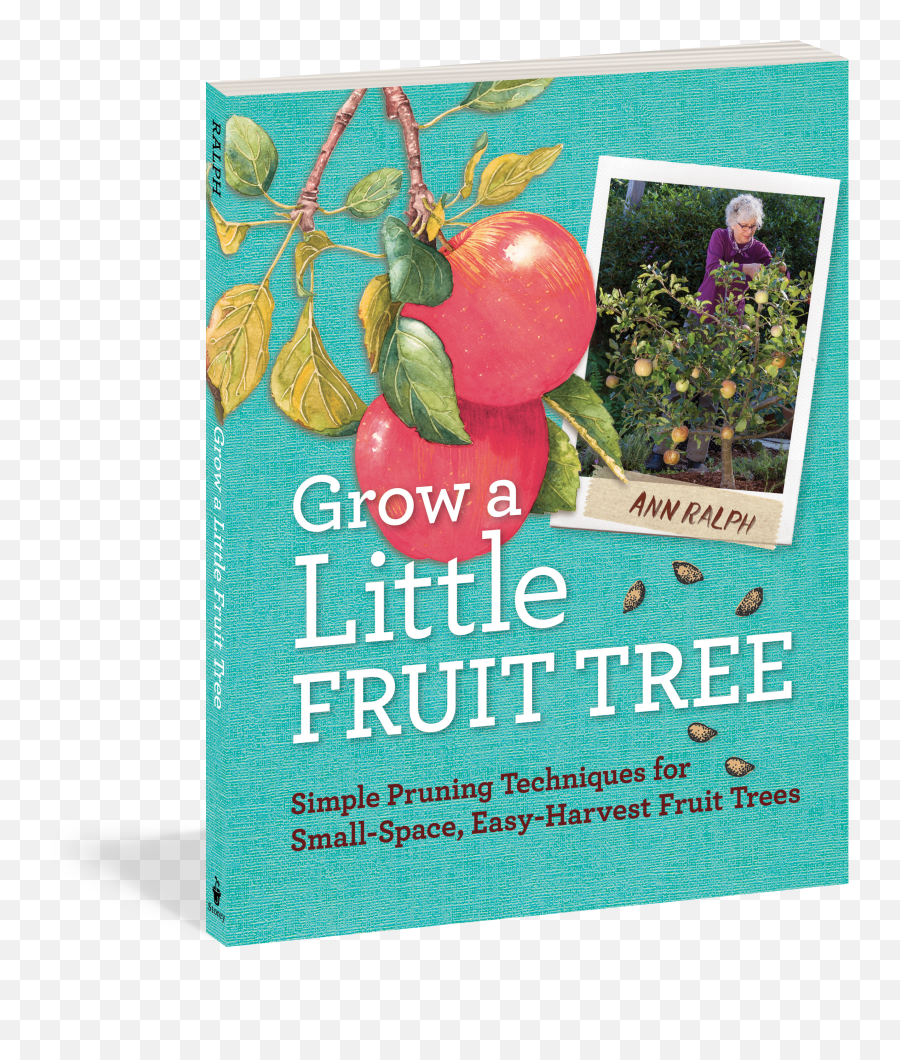 Grow A Little Fruit Tree - Grow A Little Fruit Tree Book Png,Fruit Tree Png