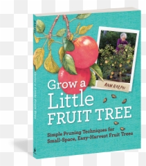 Grow A Little Fruit Tree - Grow A Little Fruit Tree Book Png,Fruit Tree Png