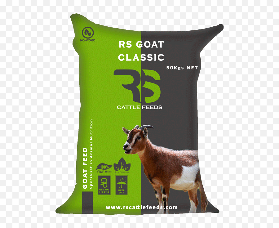 Download Average Composition - Goat Png Image With No Portable Network Graphics,Goat Png