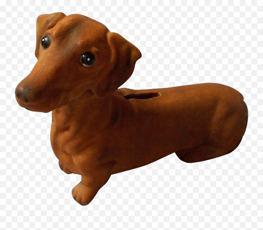 Download Hd Dachshund Scent Hound Dog - Dachshund Dog Png,Dachshund Png