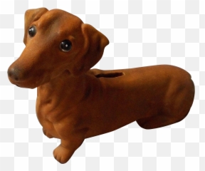 Download Hd Dachshund Scent Hound Dog - Dachshund Dog Png,Dachshund Png