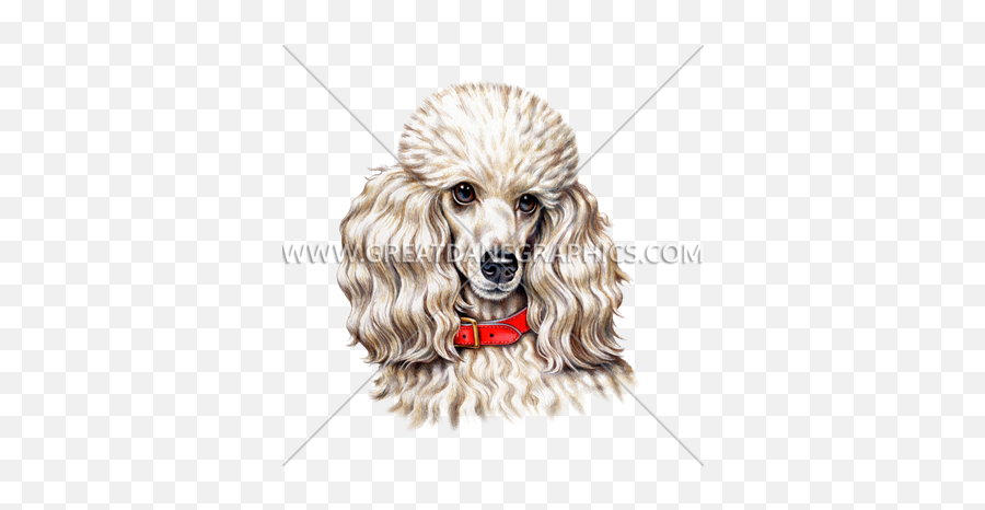 Toy Poodle Production Ready Artwork For T - Shirt Printing Poodle Dog Art Png,Poodle Png