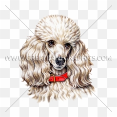 Toy Poodle Production Ready Artwork For T - Shirt Printing Poodle Dog Art Png,Poodle Png
