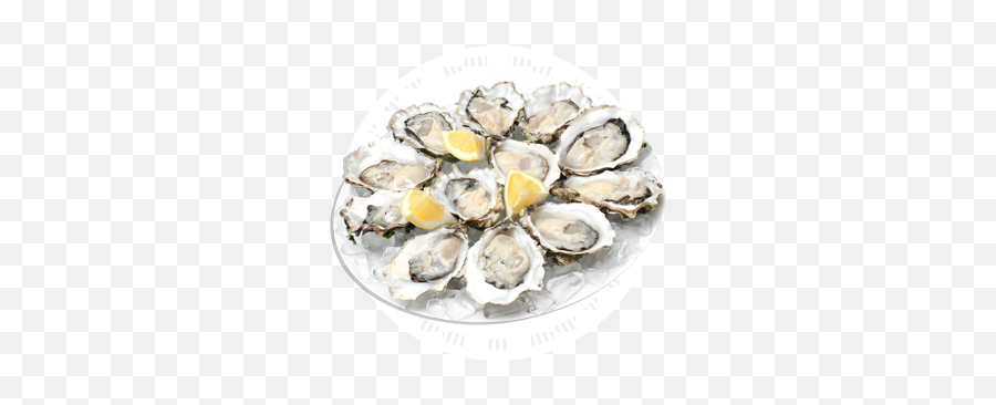 Icon - Oysters Central Seafoods Oysters Png,Oysters Png