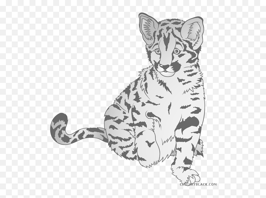 Animal Free Black White Images - Baby Leopard Clip Art Black White Png,Leopard Png