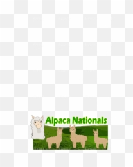 Design An Amazing Snapchat Filter - Pop png