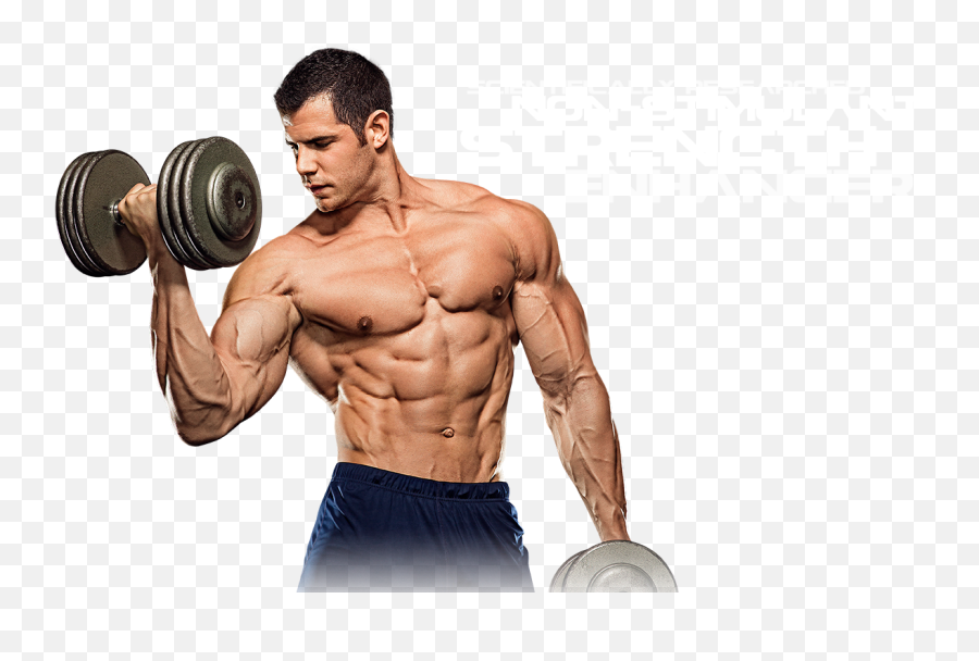 Bodybuilder Muscle Transparent Png - Big Muscle Png,Body Builder Png