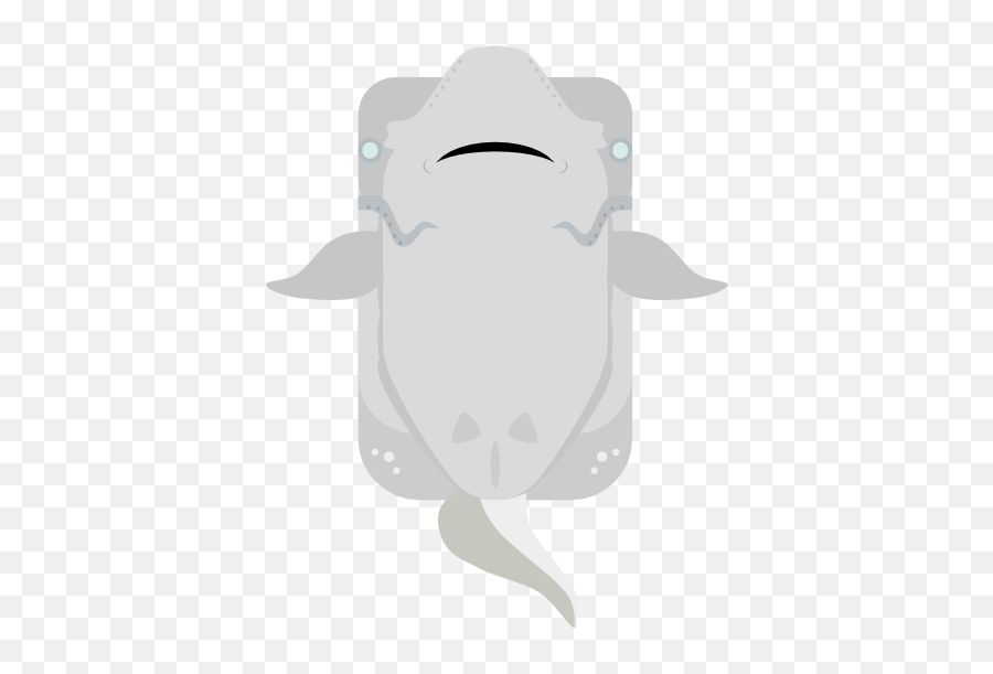 Ghost Shark Png - Fish,Cartoon Shark Png