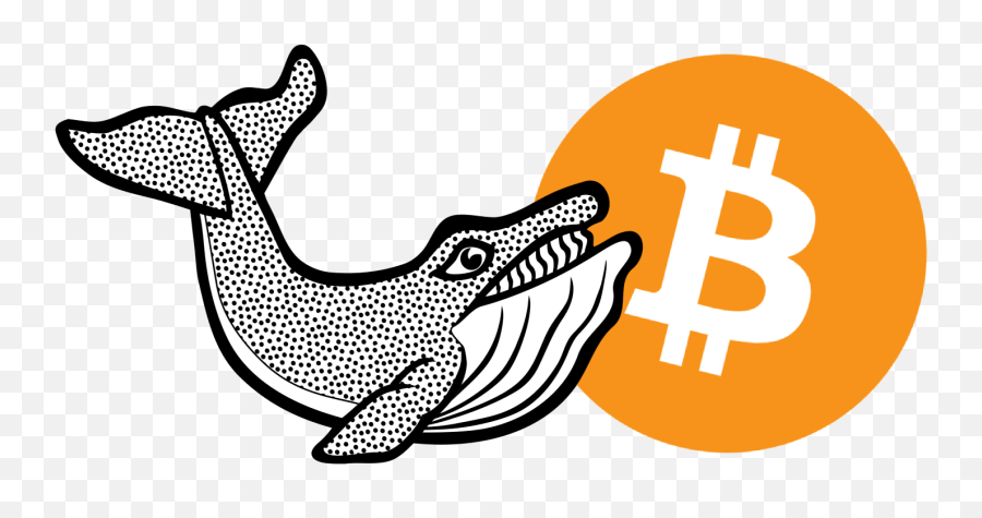 Whales In The Crypto Markets - Bitcoin Png,Whale Png