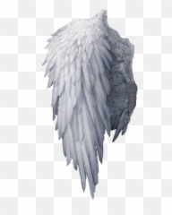 Download One Angel Wings Png Hd Transparent Background Image - Transparent Angel Wings Background Hd,Eagle Wings Png