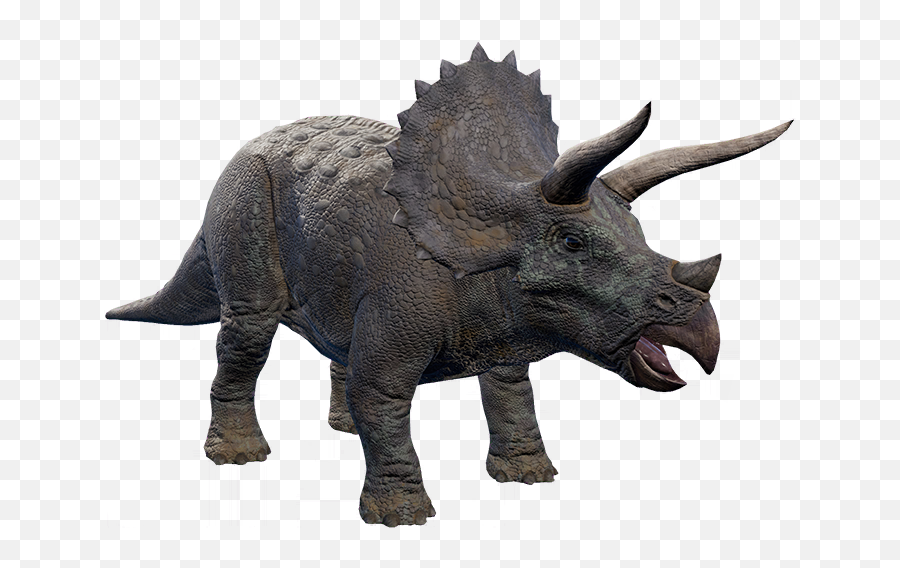 Triceratops - Triceratops Jurassic World Evolution Png,Triceratops Png