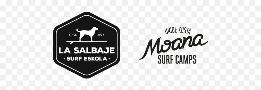 News - La Salbaje Surf Eskola Sopela Bizkaia Language Png,Moana Logo