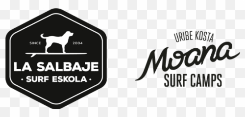 News - La Salbaje Surf Eskola Sopela Bizkaia Language Png,Moana Logo