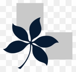 Bucc - Decorative Png,Osu Png