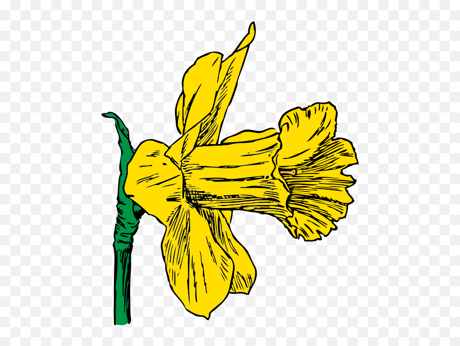 Daffodil Clip Art Free Svg - Sideways Flower Clipart Png,Daffodil Icon