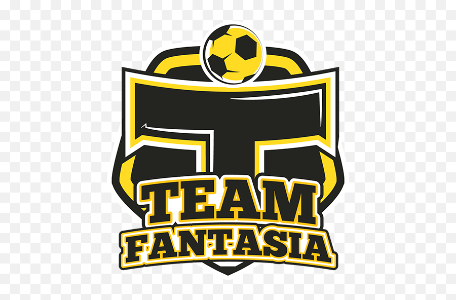 Privacy Policy - Team Fantasia For Soccer Png,Sdn Controller Icon