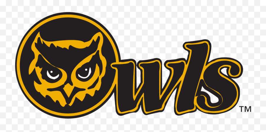 Kennesaw State Owls Logo And Symbol Meaning History Png Owl Icon
