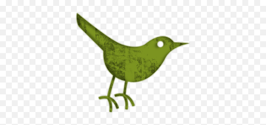 Green Twitter Icon - Clipart Best Black Bird Icon Png,Twitter Icon Aesthetic
