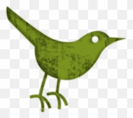 Green Twitter Icon - Clipart Best Black Bird Icon Png,Twitter Icon Aesthetic